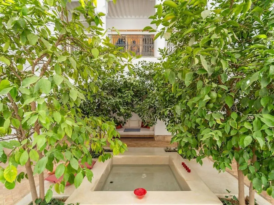 Peaceful Oasis Authentic Riad 马拉喀什 度假居