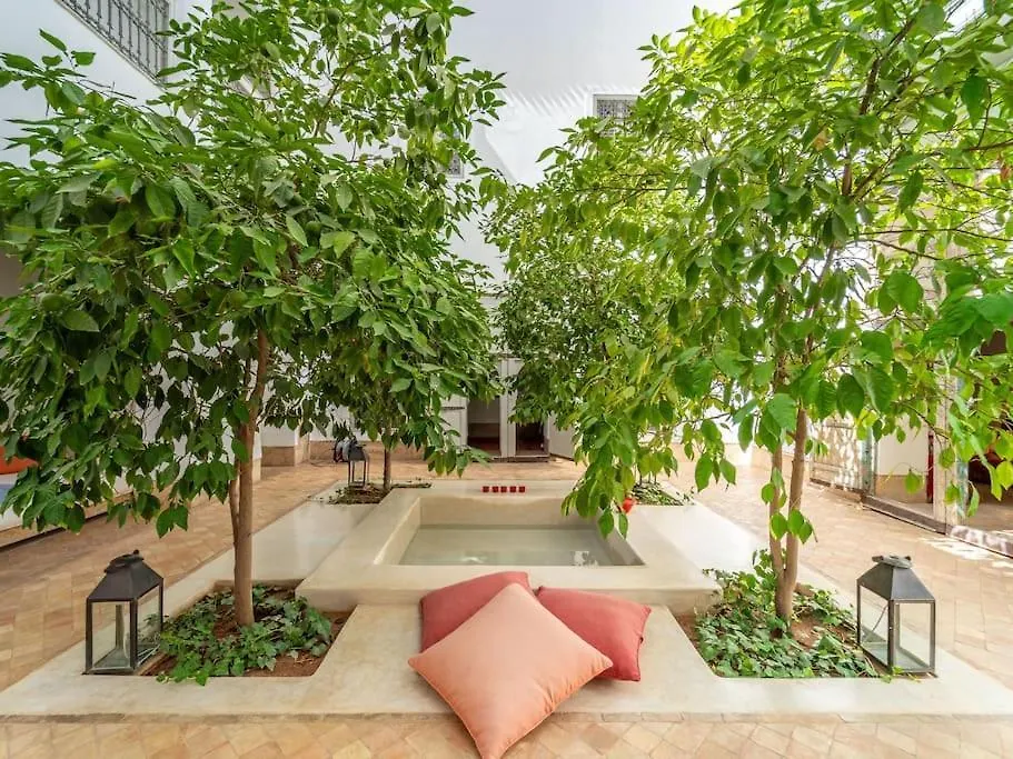 Peaceful Oasis Authentic Riad 马拉喀什 度假居